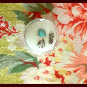 Origami Owl charm set